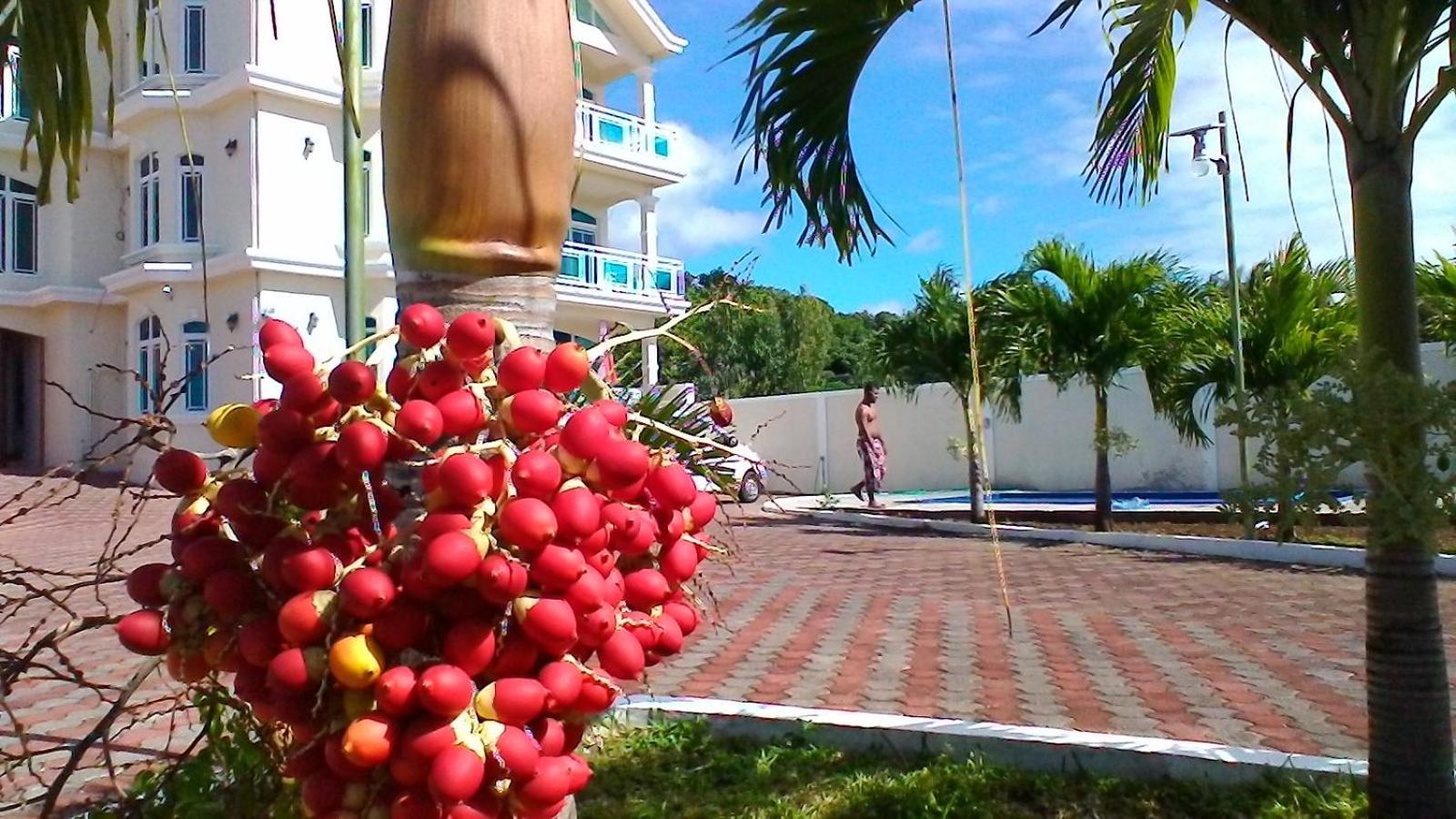 Luxor Residence Guesthouse Belle Mare Bagian luar foto